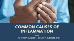 Shawn Younessi Common Causes Of Inflammation