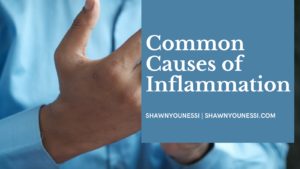 Shawn Younessi Common Causes Of Inflammation